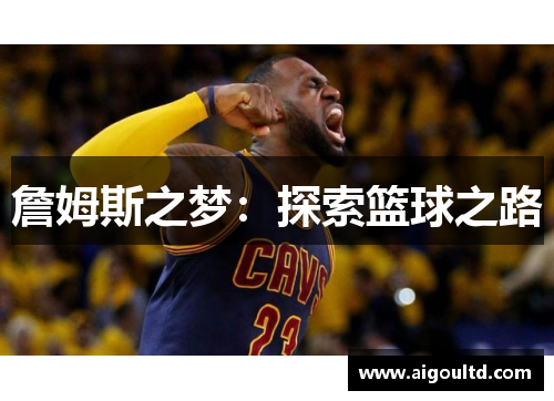詹姆斯之梦：探索篮球之路